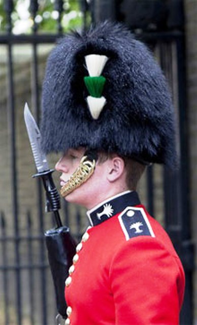 Schimbând garda la Palatul Buckingham, salut, Londra