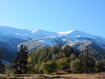 Capac de zăpadă