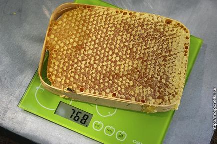 Honeycomb secțiune fagure, blog sergei samalova (miere secțională celulară) Fagure de miere fagure, blog sergei samulova