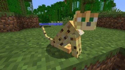 Sfaturi pentru jucători cum să îmblânzească ocelot în minecraft