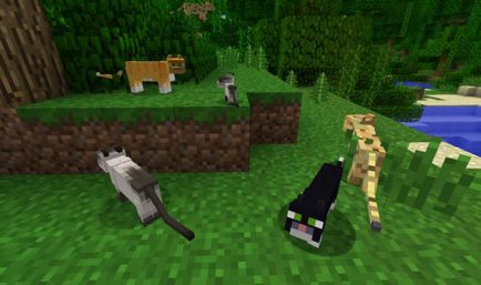 Sfaturi pentru jucători cum să îmblânzească ocelot în minecraft