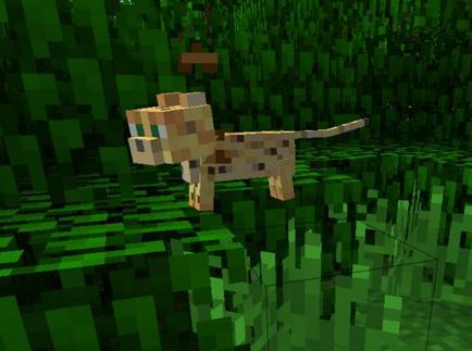 Sfaturi pentru jucători cum să îmblânzească ocelot în minecraft