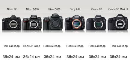 Comparație între camerele SLR cu cadru complet