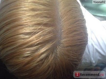 Ellenálló krém haj minden nap - «- ㅅ - platinaszőke, egy jó tartós szín, de