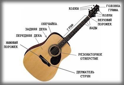 Structura chitara - din ce constă chitara