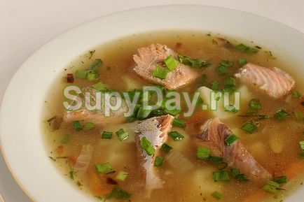 Leves piros hal - egy kiadós étkezés az egész család recept fotók és videó (hal) Leves piros hal - egy kiadós étkezés az egész család recept fotók és videó