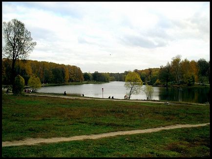 Весільна прогулянка в Кузьмінках - весілля в москві