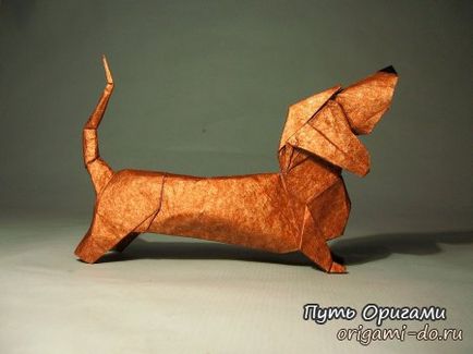 Schema modelului de hamster basset hamster este calea origami