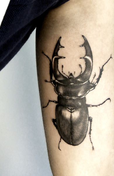 Scarab tatuaj - înțeles, schițe pentru tatuaje și fotografii