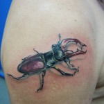 Valoarea tatuajelor scarabeilor, a fotografiilor și a celor mai bune schițe