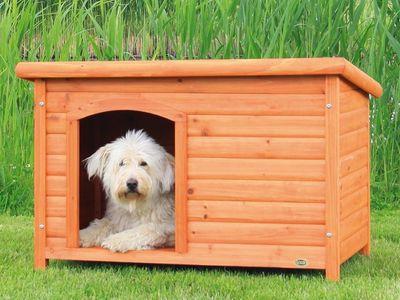 Meleg kennel a kutya a saját kezével