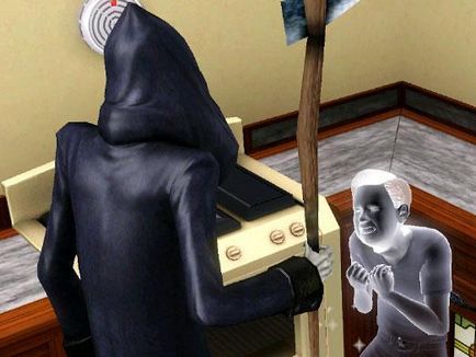 The sims 3