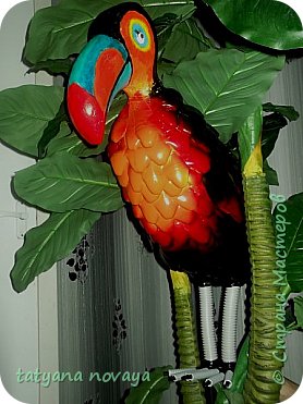 Toucan de sticle de plastic, țara maestrilor