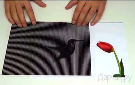 Дивовижні анімовані оптичні ілюзії - дар від Дарчик