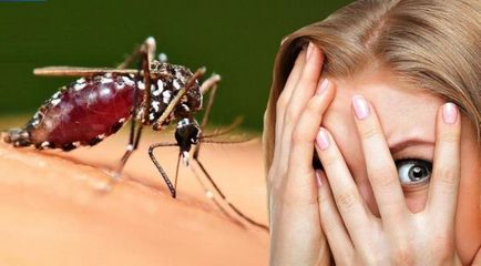 Mosquito muscatura umflarea și roșeață cum ar fi pentru a elimina umflarea, o pată roșie după insecte, locul umflat,