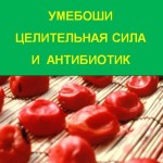 Umeboshi, putere vindecătoare și antibiotic