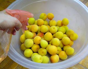 Umeboshi (Umeboshi) - recept - Japán konyha - információs és ismeretterjesztő magazin (japán) Umeboshi (Umeboshi) - recept - Japán konyha - információs és ismeretterjesztő magazin