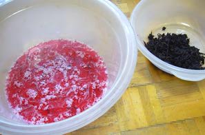 Umeboshi (Umeboshi) - recept - Japán konyha - információs és ismeretterjesztő magazin (recept) Umeboshi (Umeboshi) - recept - Japán konyha - információs és ismeretterjesztő magazin