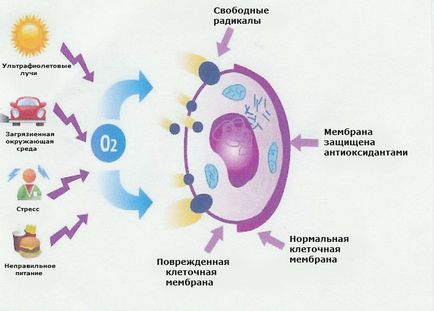 Урок - кейс «що таке стрес» - портал для сучасних жінок