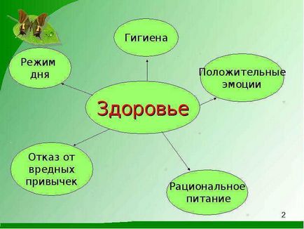 Урок по темі навіщо потрібна гігієна