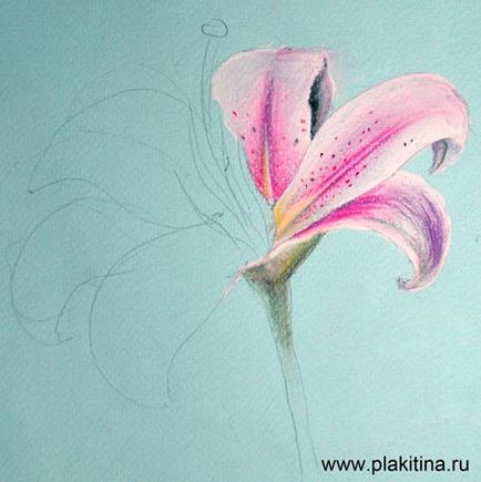 Урок малювання пастеллю - квітка лілії, урок малювання пастель, урок пастеллю