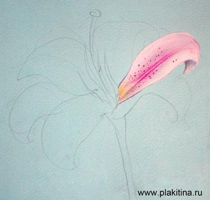 Урок малювання пастеллю - квітка лілії, урок малювання пастель, урок пастеллю