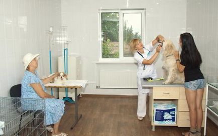 Centrul Veterinar din Beletsk