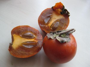 Cultivarea persimmons la domiciliu