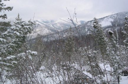 În regiunea Irkutsk, OZN a căzut (zone) În regiunea Irkutsk, OZN-urile au căzut
