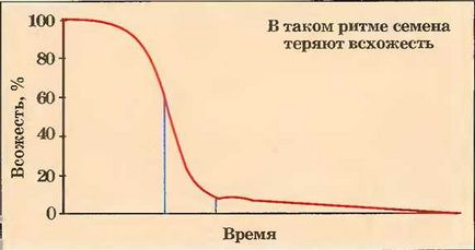 Схожість насіння яка вона буває і від чого залежить - город без турбот