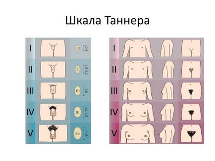 Вся правда про дитячі силових тренуваннях - дослідження школи здоров'я