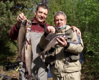 Зберігання риби на кукане - все про рибалку, полювання, відео, статті, техніка лову, календар рибалки,