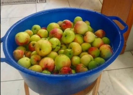 Яблучне повидло в домашніх умовах рецепт на зиму