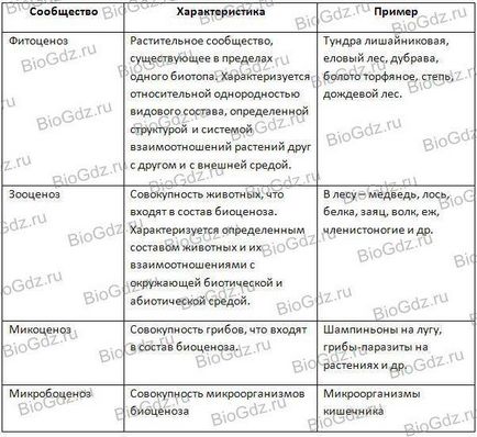 Sarcini pentru decizia independentă - stadopedia