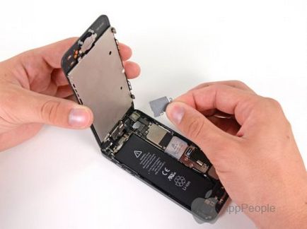 Înlocuirea bucla audio pentru iphone 5, articole, repararea merelor