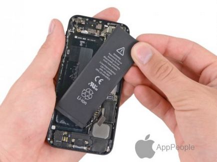 Înlocuirea bucla audio pentru iphone 5, articole, repararea merelor