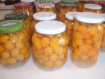 Sárga szilva kalóriaszegény, előnyei és hátrányai a sárga szilva, ajánlásokat felhasználás (kalória) Sárga szilva kalóriaszegény, előnyei és hátrányai a sárga szilva, ajánlásokat felhasználás