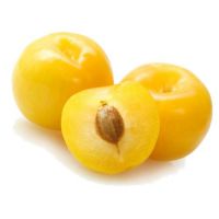 Sárga szilva - előnyök és ártalmak (kár) Sárga szilva - előnyei és hátrányai