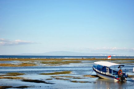 Élő rajta gyorsan és egyszerűen ahol jobb élni a Bali szigetén (Indonézia), átadva