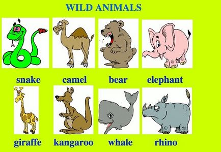 Тварини англійською - нова лексика з пропозиціями і перекладом