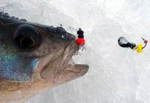 Pescuitul de iarnă pe primele gheață - sfaturi pentru începători