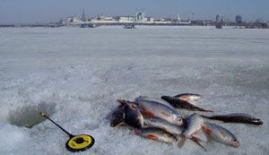 Téli halászat a jégen első - tippek kezdőknek