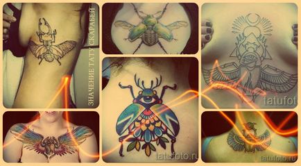 Semnificația înțelesului tattoo-scarabului, istoric și fotografie