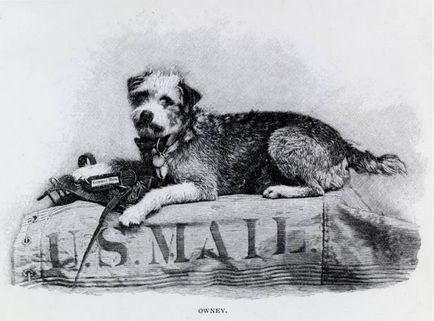 10 Самих виняткових собак в історії