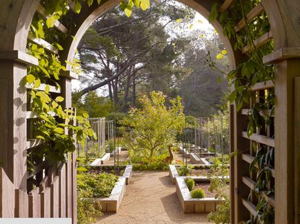 20 Inspirând idei de amenajare a teritoriului care vor transforma parcela grădinii într-un loc magic