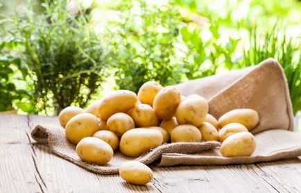 8 Secretele unei recolte bune de cartofi