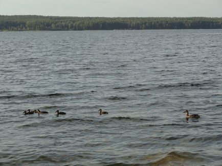 Акакуль (озеро)