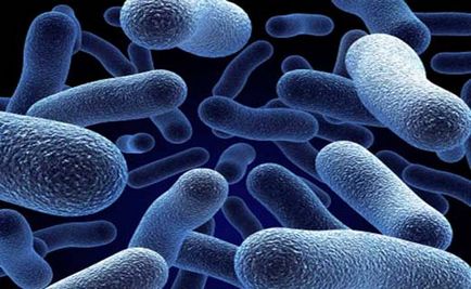 Pneumonie bacteriană - o prezentare generală a faptelor bolii
