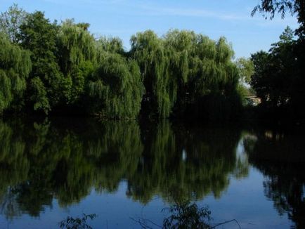 Бермінводи - харківський аналог бельгійського спа (Березовський - пам'ятки, що