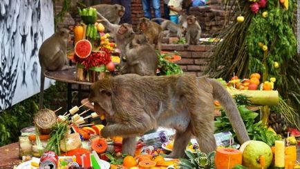 Великий мавпячий свято в Таїланді